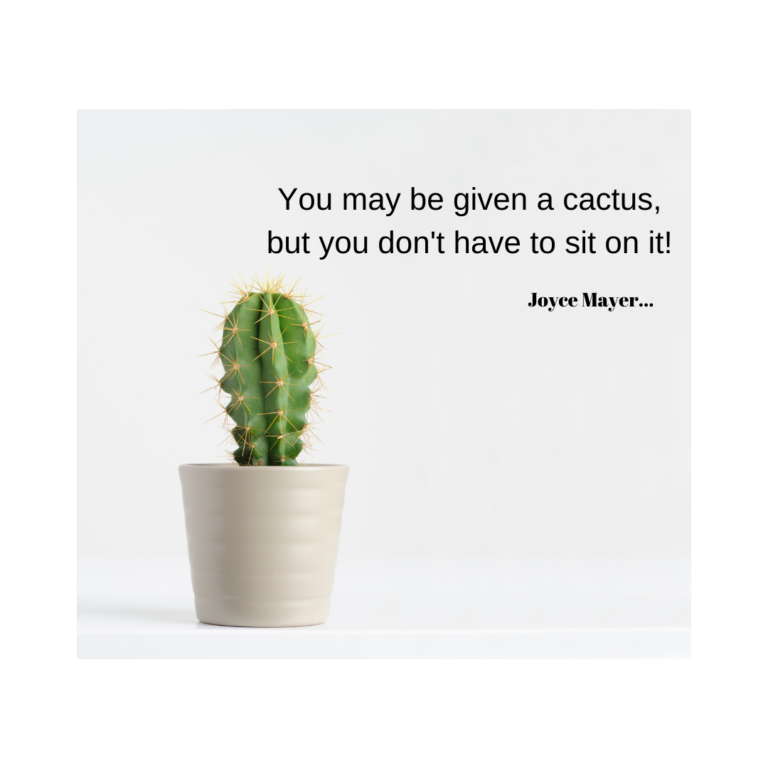 Don’t Sit on a Cactus