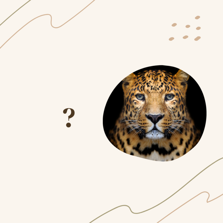 Can a Leopard Change Its Spots?
