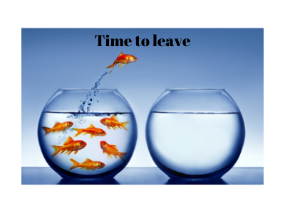 Why It’s Time to Leave Your Comfort Zone…